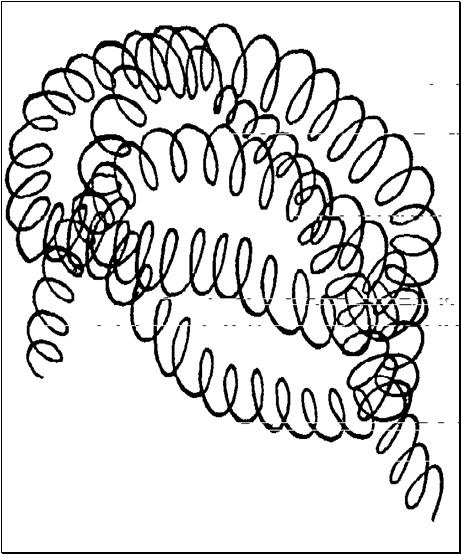 Вторичная структура белка  1