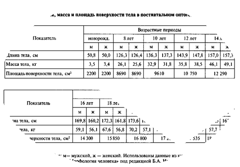  размеры и пропорции 2