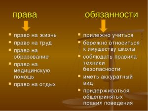 Сочинение права и обязанности ребенка в школе дома