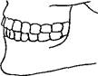 Зубная система 2