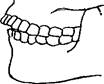 Зубная система 3