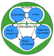 Экосистема и биогеоценоз  1