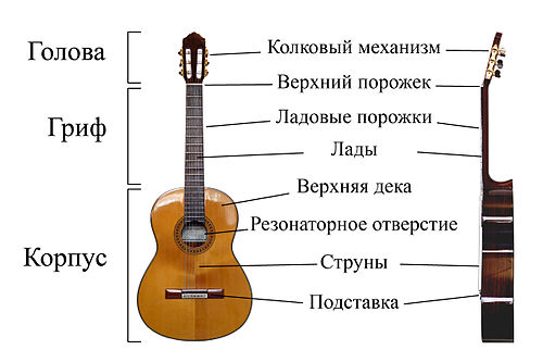  устройство гитары 1